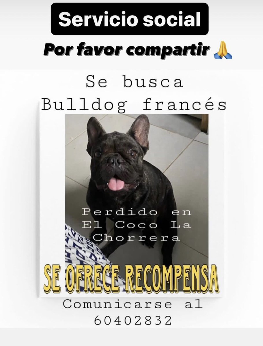 Favor su apoyo 🥺