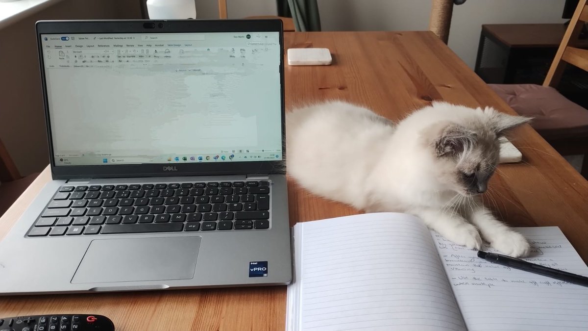 Got a new little man in the flat called Ted. Here he is co-authoring an article with me.