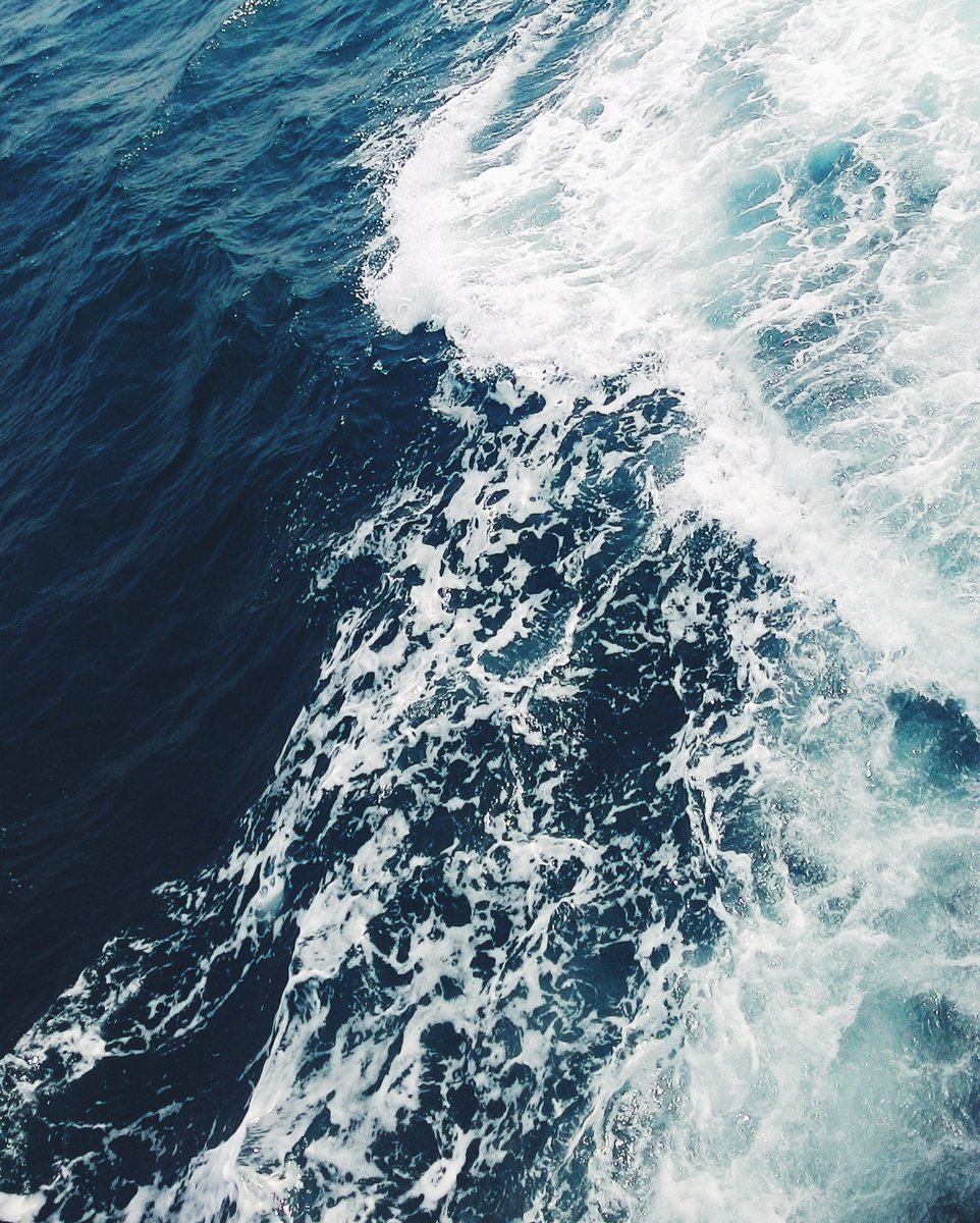 MissionBlue's tweet photo. "We now know that the ocean drives the water cycle, the carbon cycle, the oxygen cycle, regulates temperature, shapes climate and weather, and otherwise is the cornerstone of Earth's life support system." @SylviaEarle 

📸Thach Tran https://t.co/pUfEkqReic