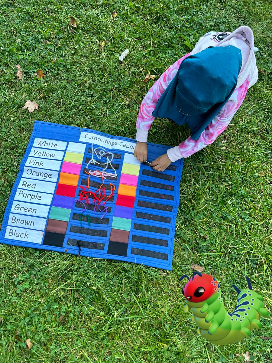 spankyfinch's tweet photo. @SchoolFleming #grade1and2 #anchorchart @ForestValleyOEC #growthandchangesinanimals #camouflage #crittersearch @TOES_TDSB #outdooreducation https://t.co/FAC8wCFEnE