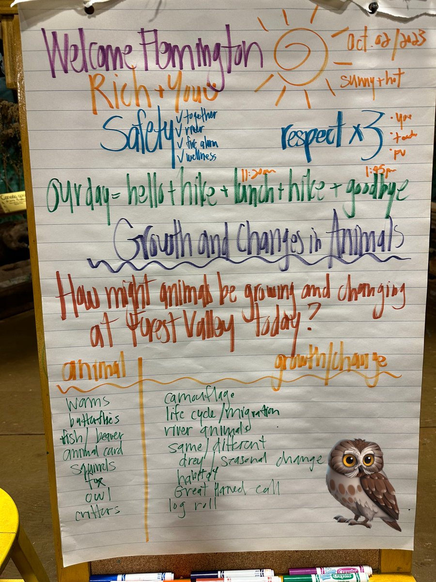 spankyfinch's tweet photo. @SchoolFleming #grade1and2 #anchorchart @ForestValleyOEC #growthandchangesinanimals #camouflage #crittersearch @TOES_TDSB #outdooreducation https://t.co/FAC8wCFEnE