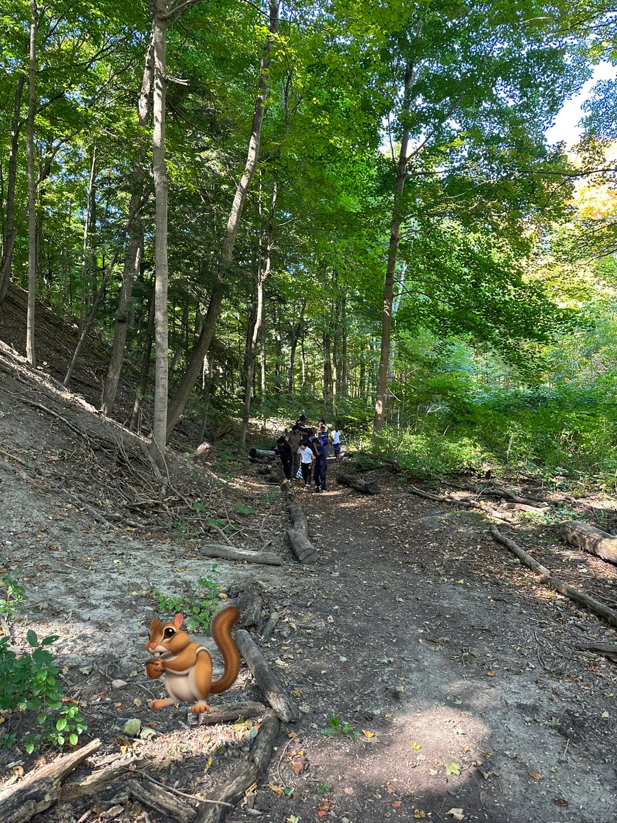 spankyfinch's tweet photo. @SchoolFleming #grade1and2 #anchorchart @ForestValleyOEC #growthandchangesinanimals #camouflage #crittersearch @TOES_TDSB #outdooreducation https://t.co/FAC8wCFEnE