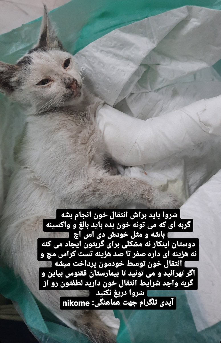 دوستان ممنون می شم اگر ریتوئیت کنید🙏🌱