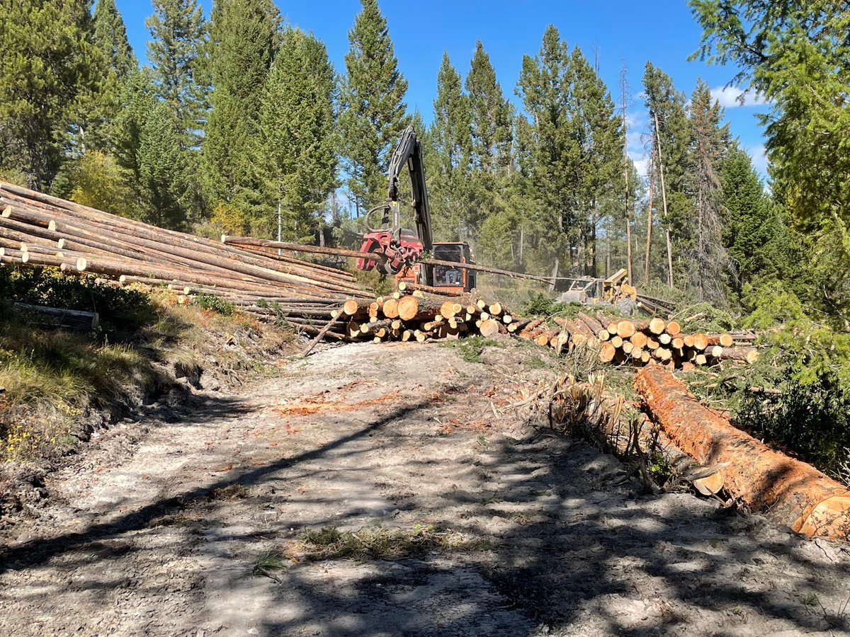 salmonchallisnf's tweet photo. National Forest Products Week! Currently there are 2 timber sales on the NZ that are being actively logged. Granite South & Far North TS. Additionally, the Bob Stormster TS is currently advertised. All decked timber resulted from #MooseFire have been sold & are under contract. https://t.co/TnZwqtMCY0
