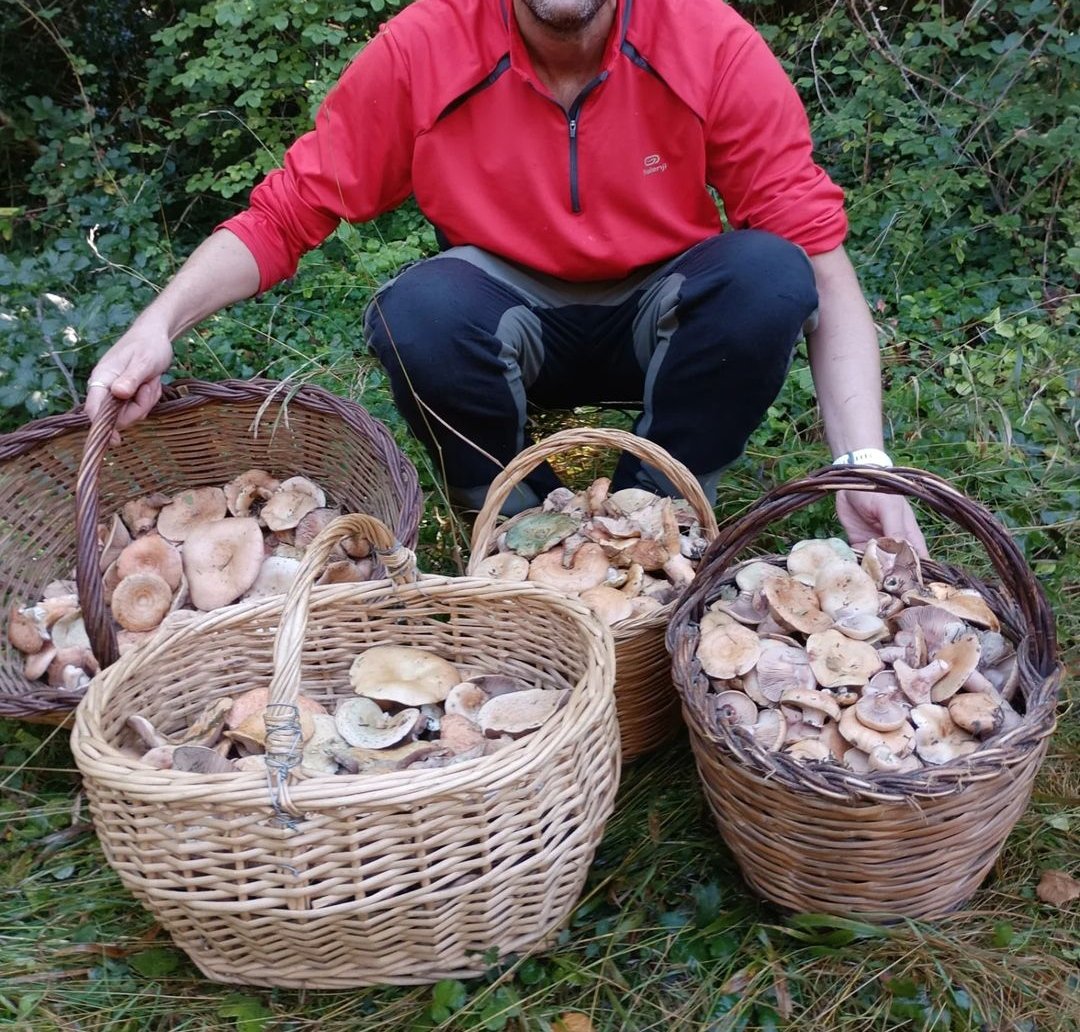 Hi ha cunyats i cunyats i després està el meu, que m'acaba de portar 4kg de rovellons 'by the face' 🤤🤤