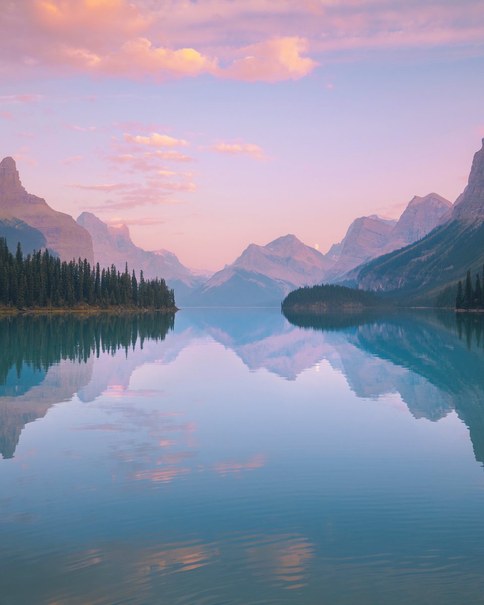 pastel papi tweet media