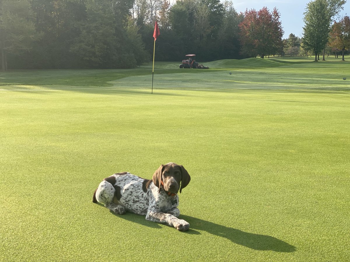 Chad Adamson tweet media