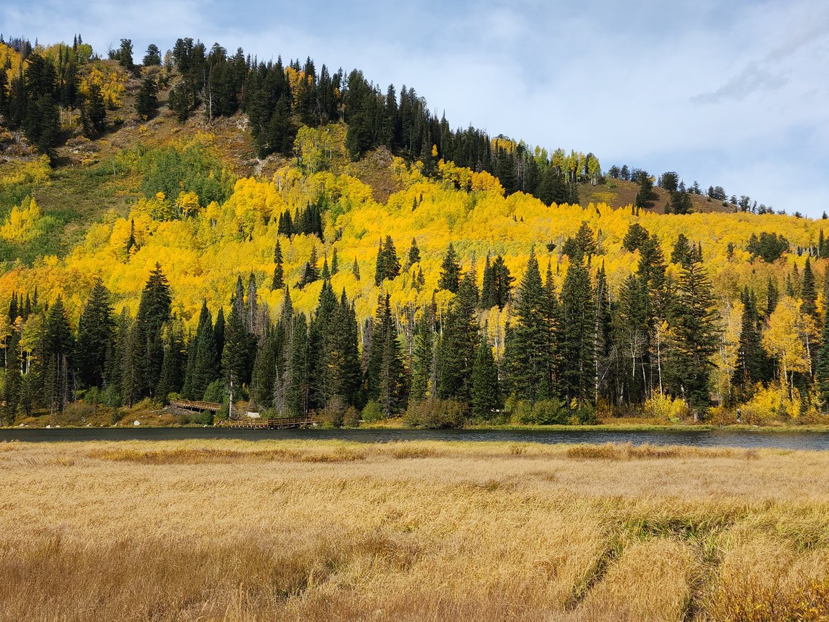 An @EROSaltLakeCity officer hit the trails this weekend and shot this #beUTAHful photo near #SaltLakeCity.  #Utah is #WhereWeWork

#AutumnVibes