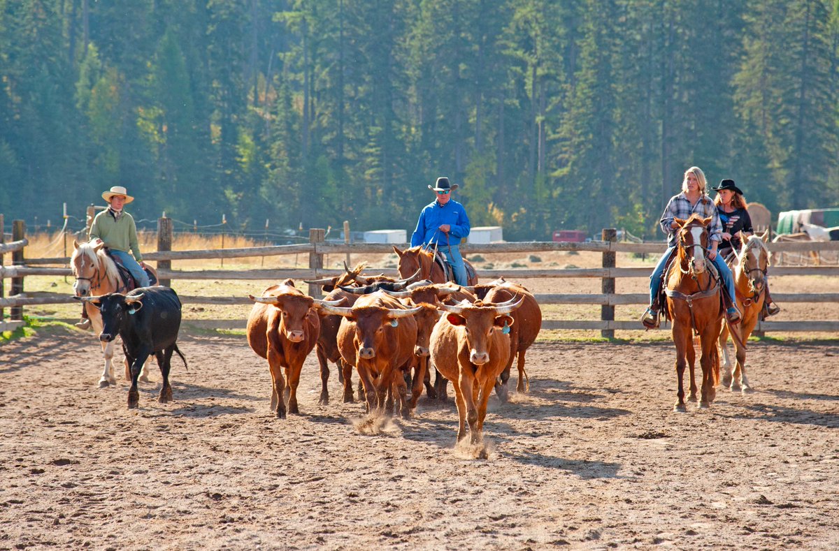 New 2024 Packages &amp; Rates 🐎Time for a New Adventure!

mailchi.mp/thebarw/new-20… 
 
#barwguestranch #montana #glaciernationalpark #duderanchvacation