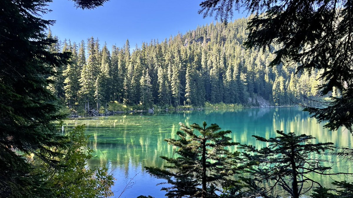 Matt Fraser tweet media