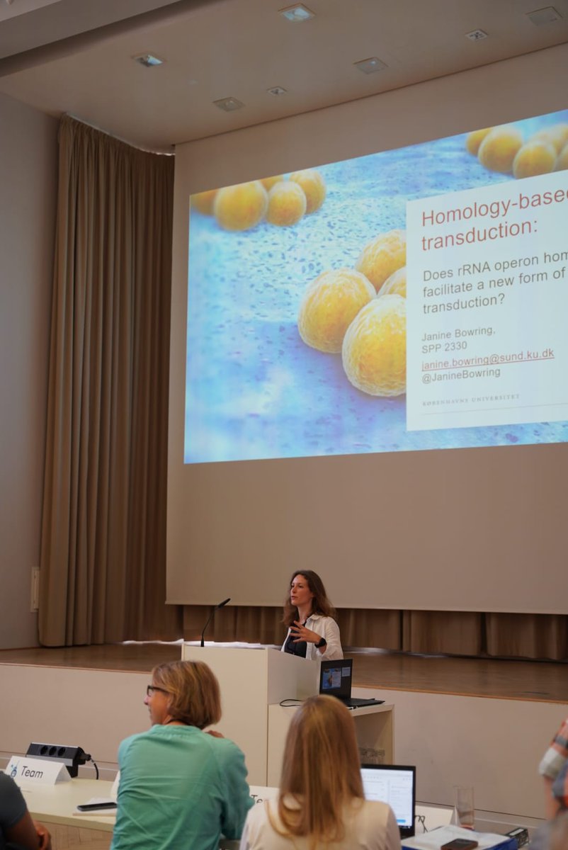 SPP2330's tweet photo. Genomic mobilisation by rRNA operon recombination – another route of phage transduction?
Let´s find out in @JanineBowring s talk. @IngmerLab https://t.co/YgE4C9HQG9