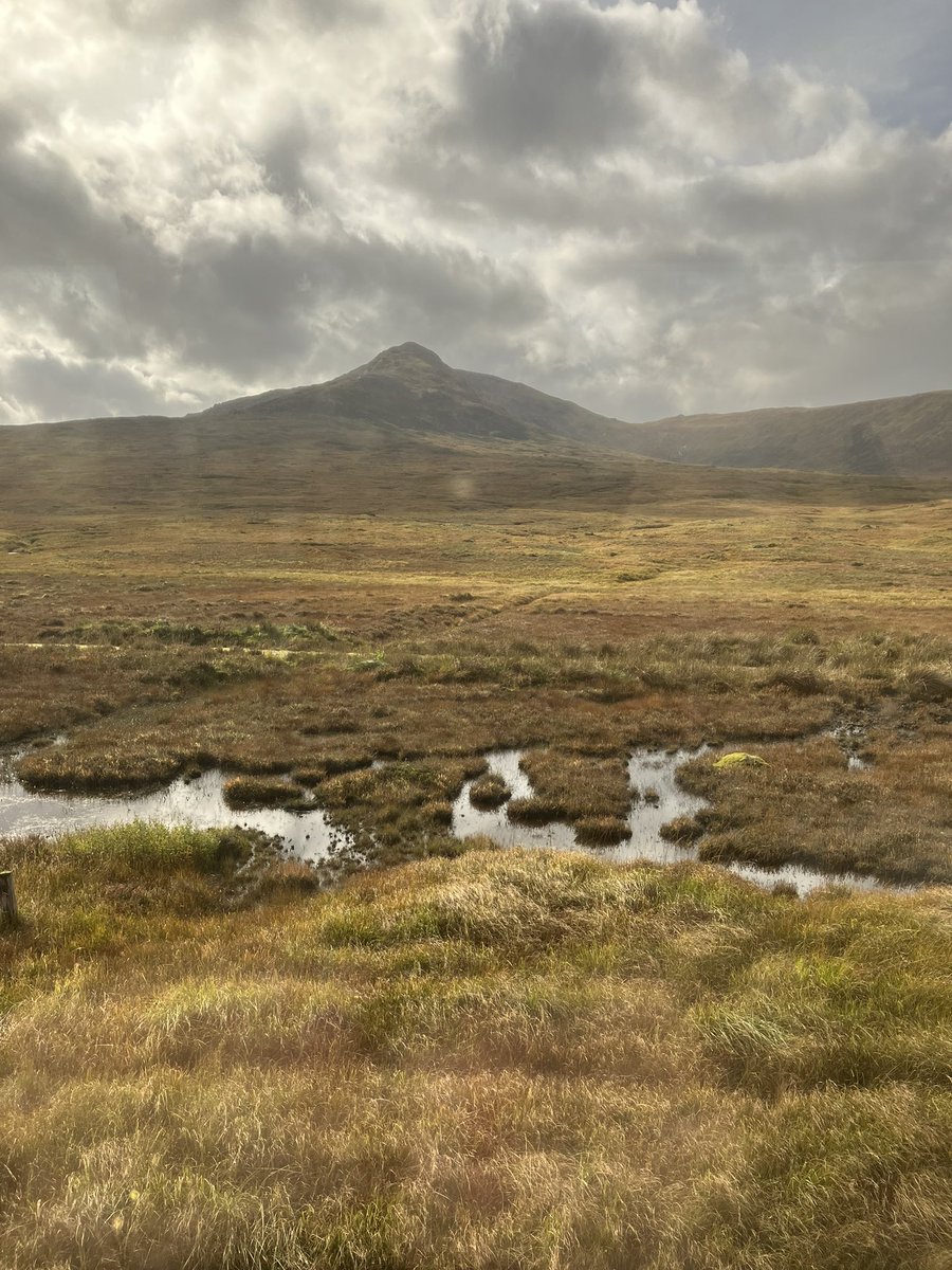 Gwydir Castle tweet media
