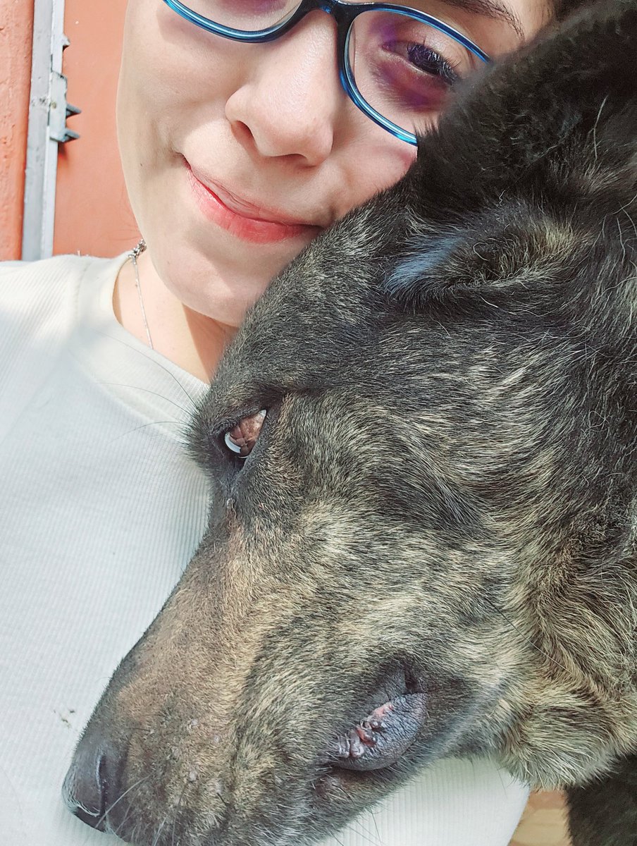 SONNVAR's tweet photo. Cada pelito tuyo quedó sembrado en mi corazón, tus ojos destellantes me seguirán mirando y acompañando en cada uno de mis días mi guardiana eterna.
Te extrañaré tanto mi Dala preciosa https://t.co/1p95dNqdeO