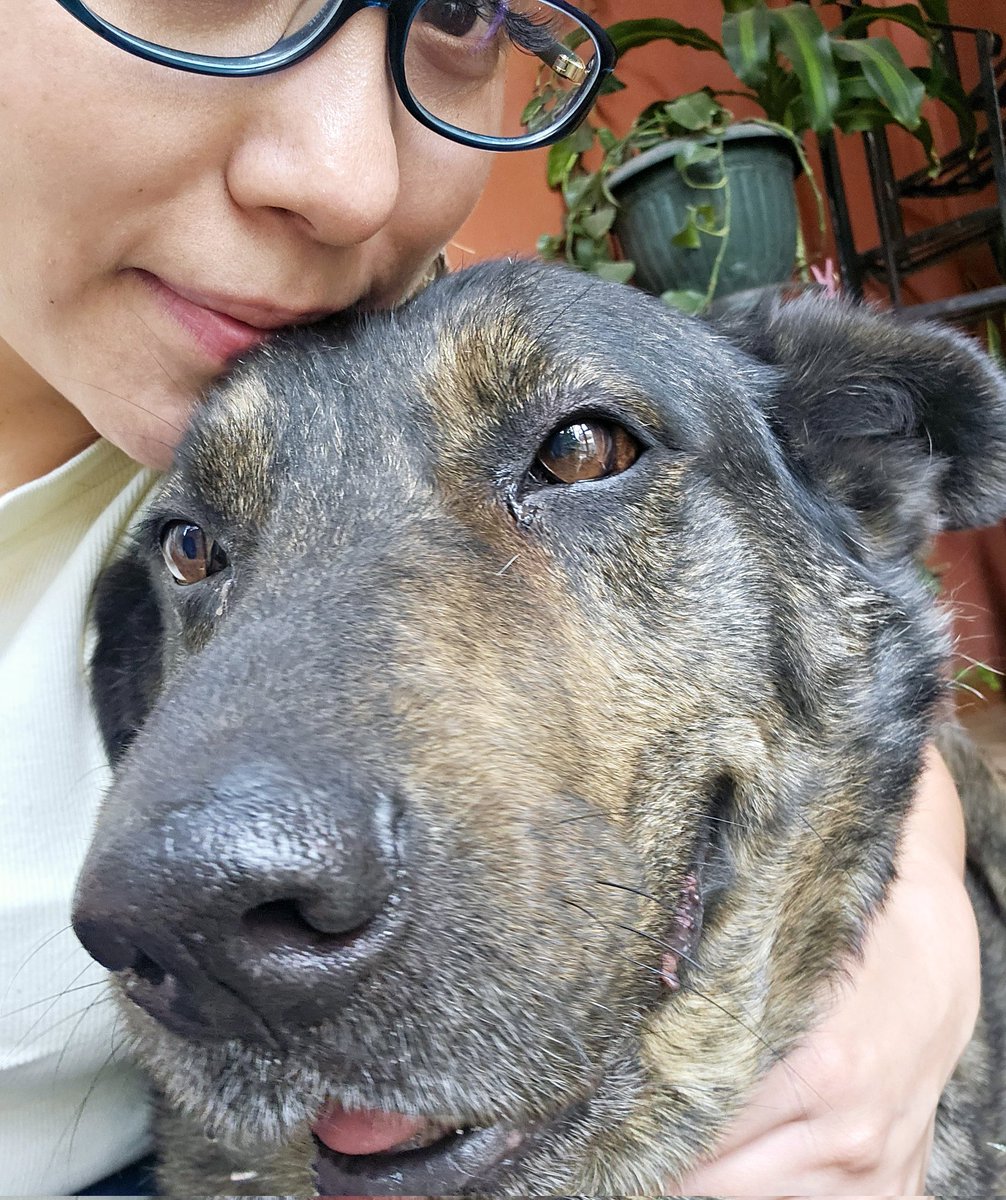 SONNVAR's tweet photo. Cada pelito tuyo quedó sembrado en mi corazón, tus ojos destellantes me seguirán mirando y acompañando en cada uno de mis días mi guardiana eterna.
Te extrañaré tanto mi Dala preciosa https://t.co/1p95dNqdeO