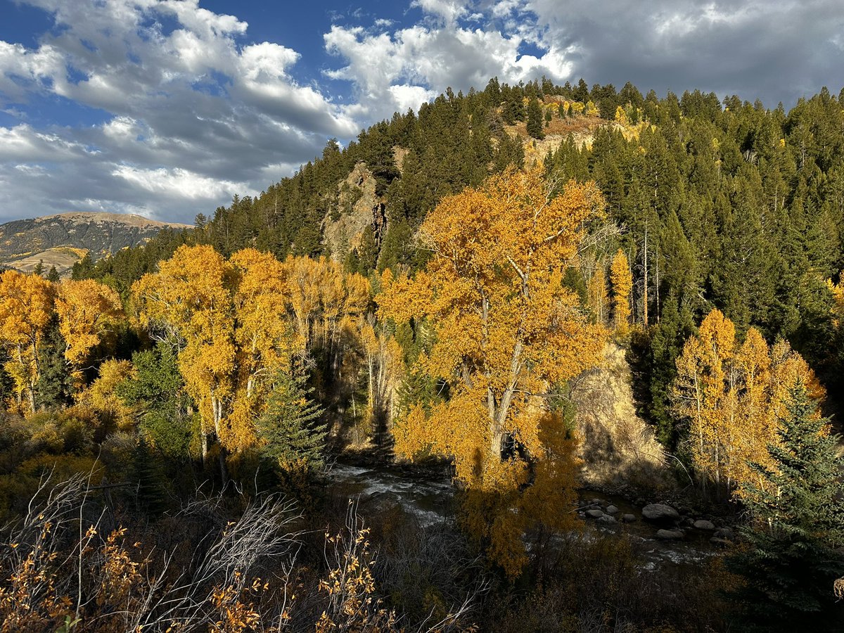 Kelly Heber Dunning tweet media