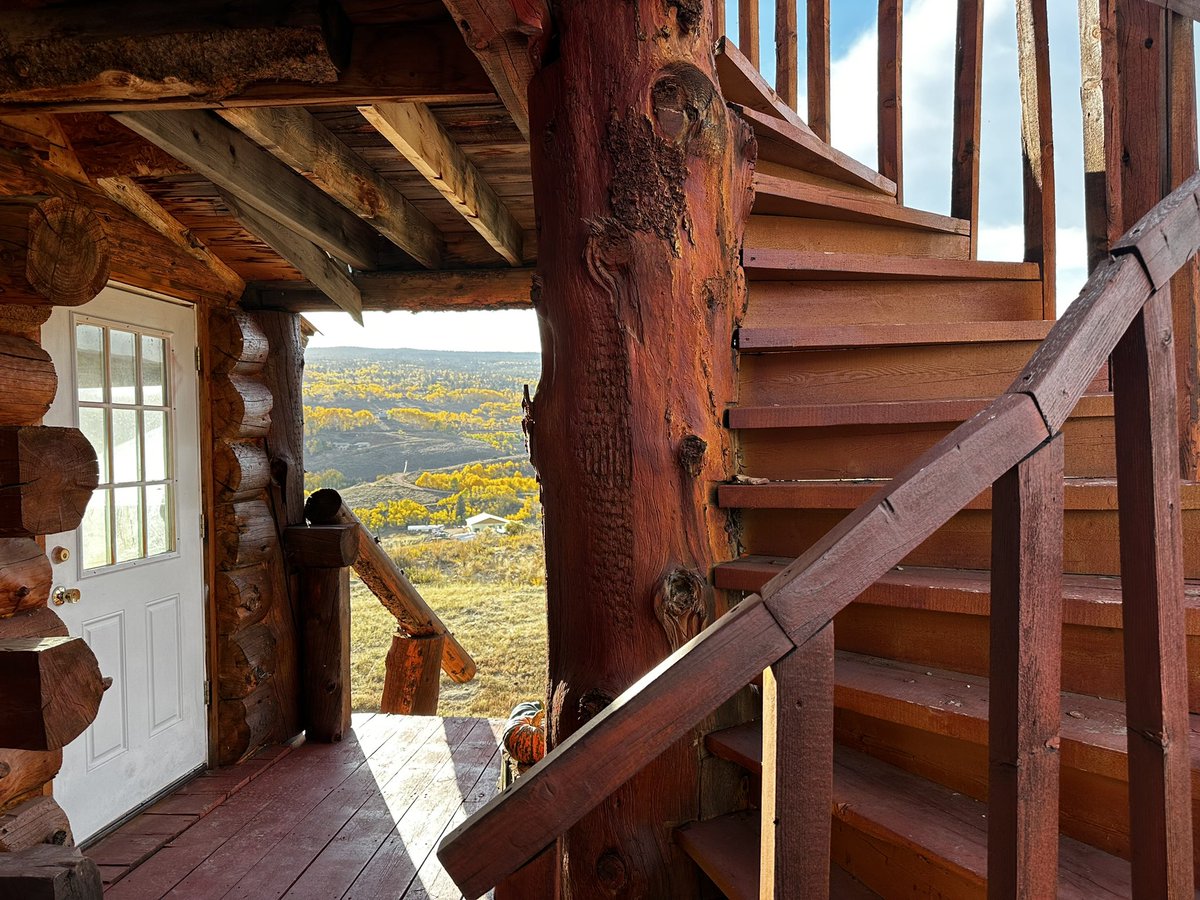 Kelly Heber Dunning tweet media