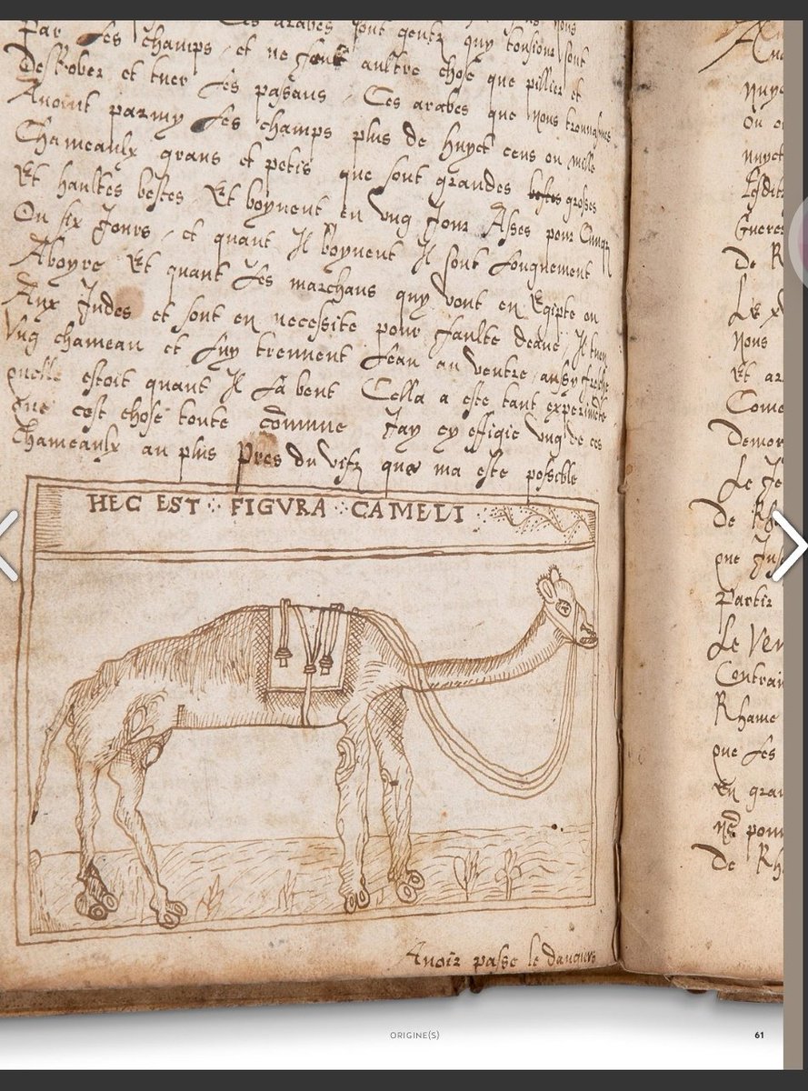 issuu.com/aguttes/docs/c…