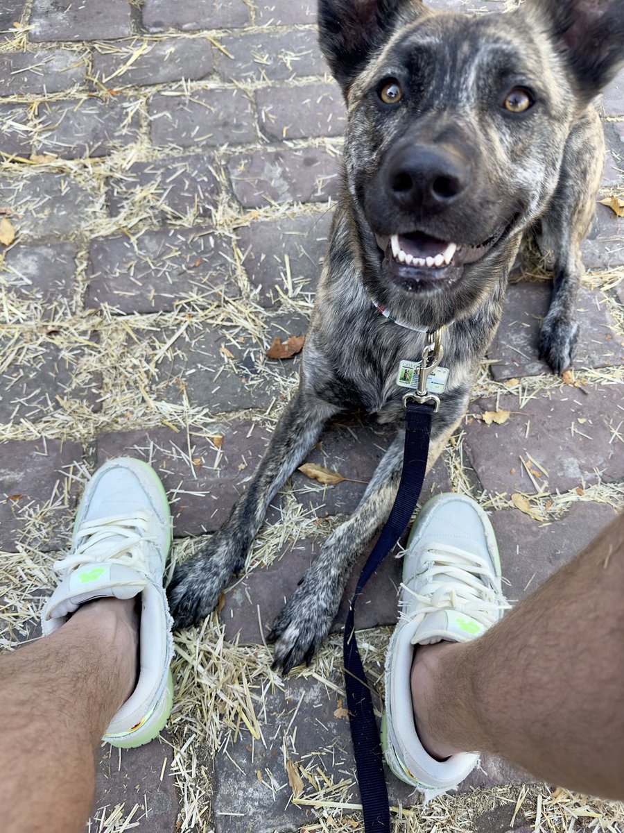 wil says tweet media