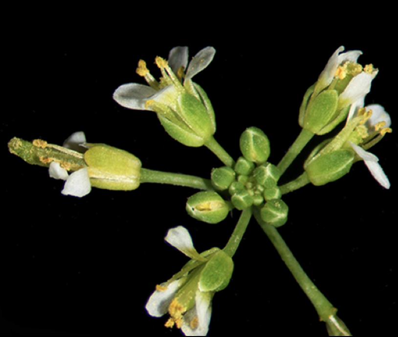 DontStopMeFlow tweet media