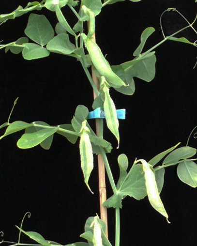 DontStopMeFlow tweet media