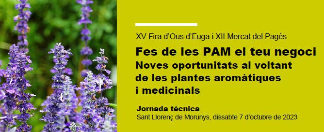 Jornada tècnica #Biomarkets Fes de les PAM el teu negoci <a href="/ruralcat/">Ruralcat</a>

🗣️"Riquesa de la flora aromàtica del Solsonès i possibilitats de producció enfocada al mercat" d' <a href="/herba_m/">Eva Moré</a> del #CTFC 

📅dissabte 7 d’octubre
📍Sant Llorenç de Morunys

ℹ️ Més informació tuit.cat/XXx0C