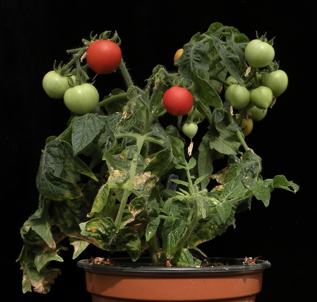 DontStopMeFlow tweet media