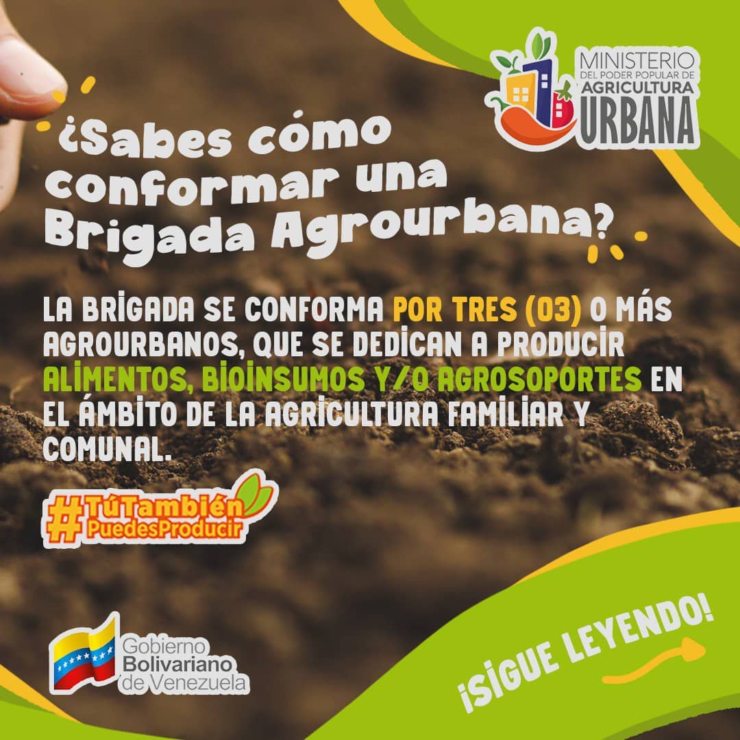 DeltaMinppau's tweet photo. Conoce cómo puedes ser parte de las Brigadas Agrourbanas y juntos ser parte del desarrollo de la producción en nuestro país 🌱 https://t.co/zIdx2P064T