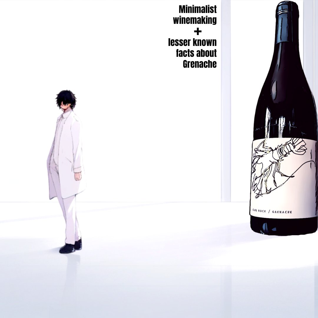NEW VIDEO on HanDrinksSolo: We discuss <a href="/caperockwines/">Cape Rock Wines</a> and their notion of minimalist winemaking. We also give a visual explainer on free-run juice, &amp; share three lesser-known facts about Grenache. 

bit.ly/Minimalist-Win…
