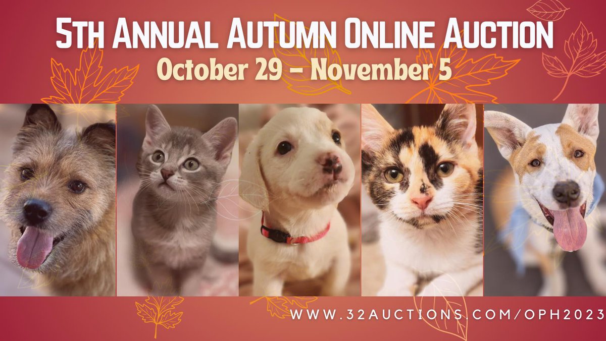 Join us for our 5th Annual Autumn Online Auction! Auction starts Oct 29 at 9:00 am and ends Sunday, Nov 5 at 9:00pm.

Visit: 32auctions.com/OPH2023

Get your holiday shopping done early from home!

#fundraiser #support #adoptdontshop