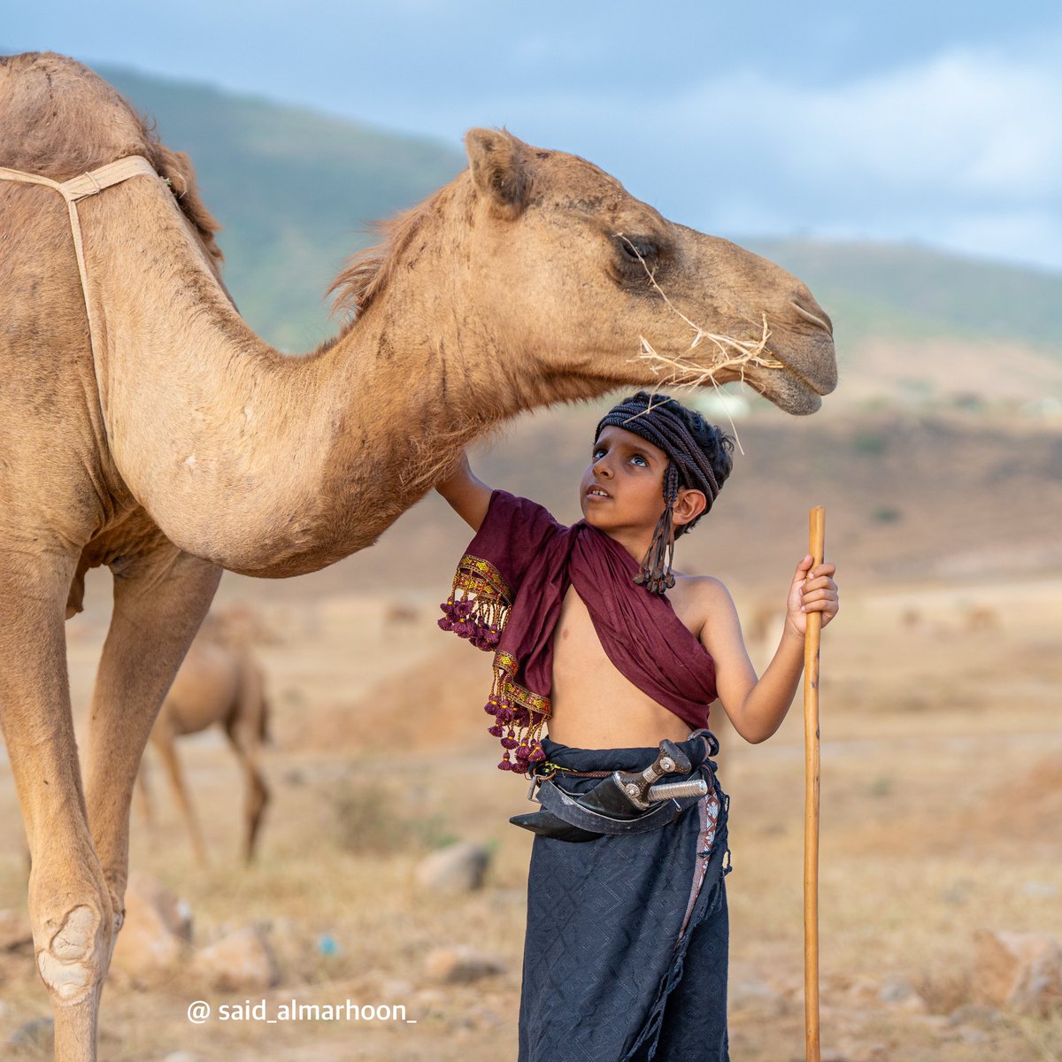 حب الإبل يتجاوز الكلمات لذا يشعر محبو الإبل بارتباط عاطفي عميق بها ويعتبرونها جزء من ثقافتهم وحياتهم اليومية التي لا يمكنهم الاستغناء عنها

#موسم_الصرب2023 
#صرب_ظفار_2023

الطفل / زيد بن مسلم تبوك
