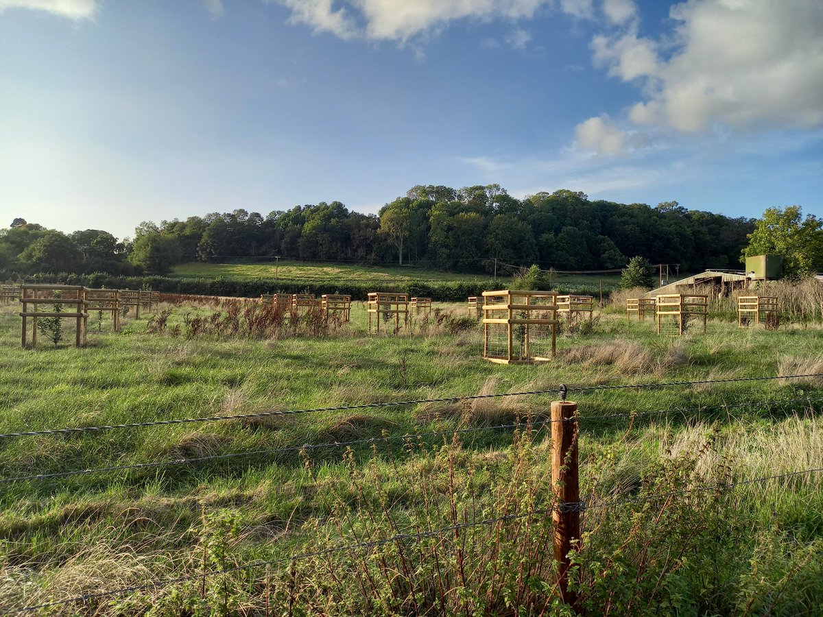 JPR Environmental tweet media