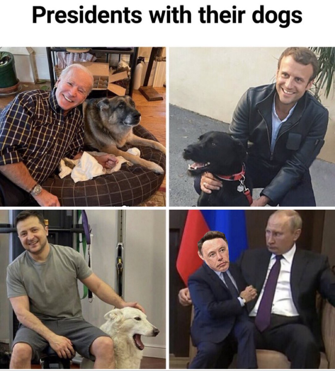 KarinaVinnikova's tweet photo. 🐕🐕🐕 https://t.co/JFqONI2nB2