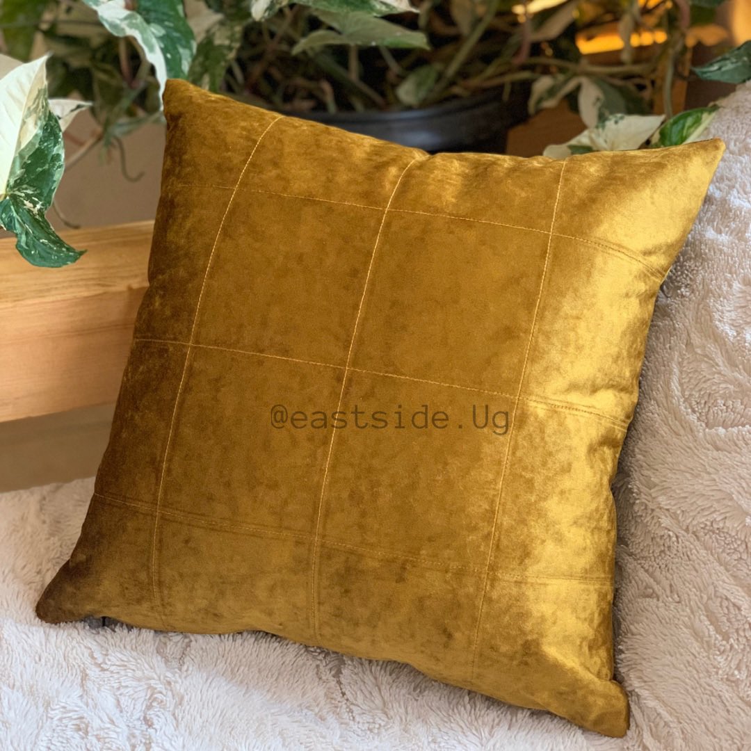 EastSide_ug_'s tweet photo. Modern velvet cushion. 😍, 0788216709 https://t.co/zzSnqzaepQ