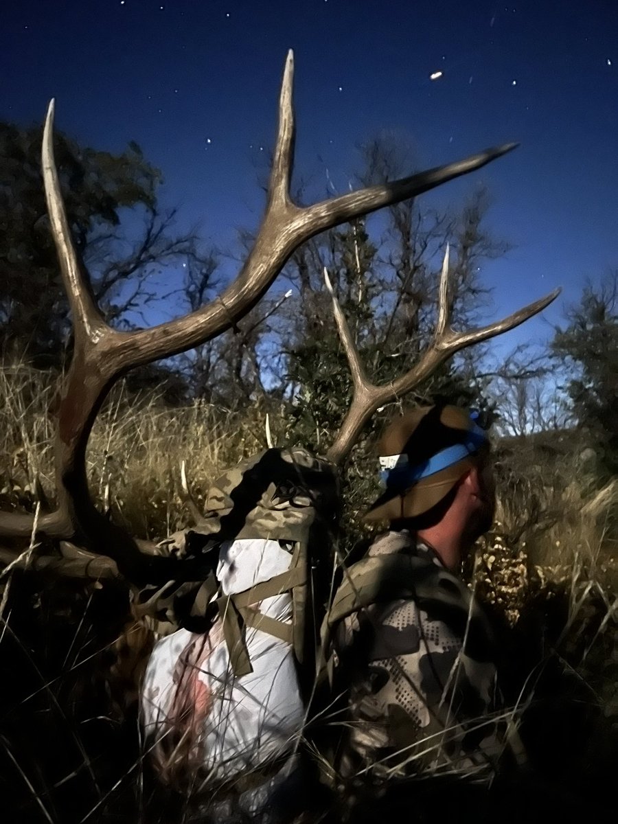 rakadxco's tweet photo. @elonmusk Bow hunting elk in Colorado we were lucky enough to capture @Starlink in the background sky. https://t.co/KvL5cBWvIk