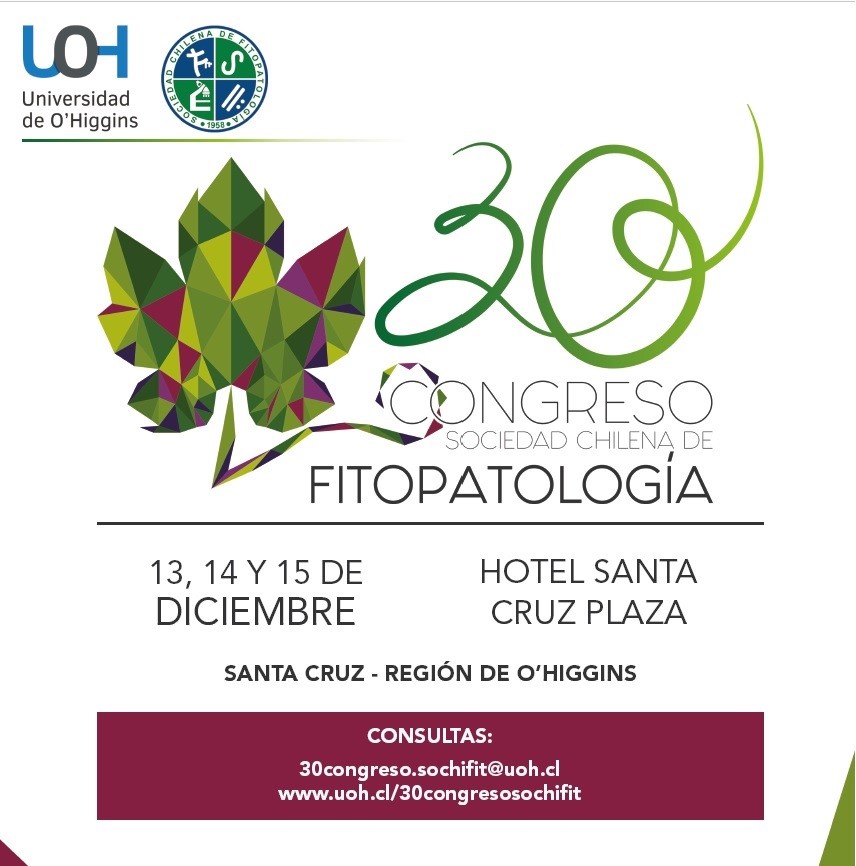 Los invitamos a preparar sus resúmenes para participar en el próximo congreso SOCHIFIT. El plazo es hasta el 30 de octubre. Los resúmenes se deberán subir a la página web que será implementada en los próximos días. Les estaremos informando!