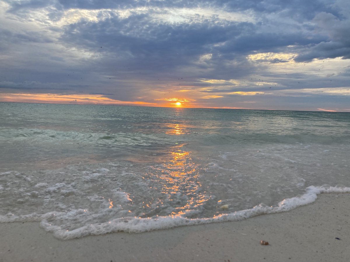 Island Unique tweet media