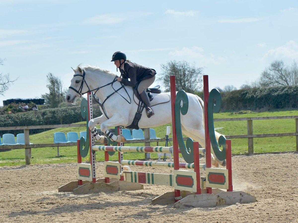 I could not be prouder of my little horse Aysgarth Alfie, he is such a superstar. This week we will receive an award for our achievement - the highest placed member on the 2022/23 British Showjumping KBIS British Equestrian Leagues. Thank you to everyone who supports us!