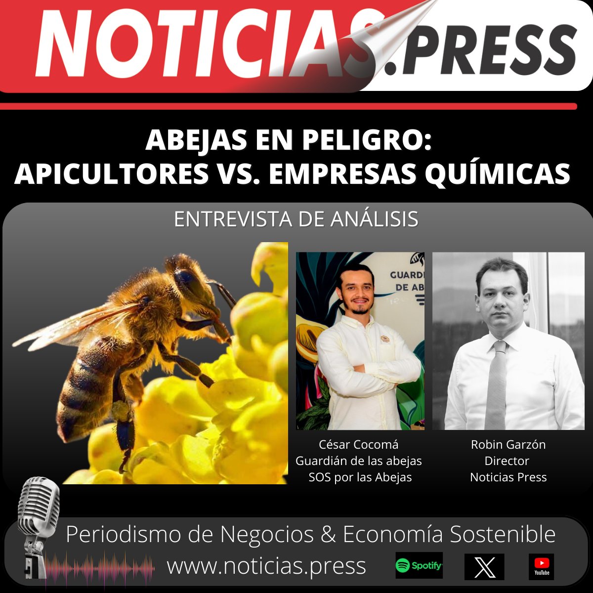 Noticias press tweet media