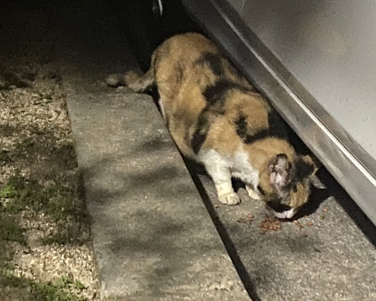 hsmw6 (@hsmw66) on Twitter photo 