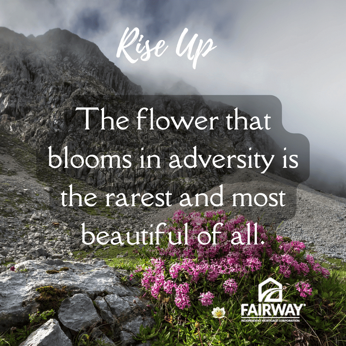 ScottMtgTeam's tweet photo. Through every hardship, there's beauty in the bloom — embracing and learning from adversity can make us even stronger!
#SmileInAdversity #StrengthInBloom #PerseveranceIsKey #quoteoftheday #riseup #fimc https://t.co/Zsr1MIX0gg