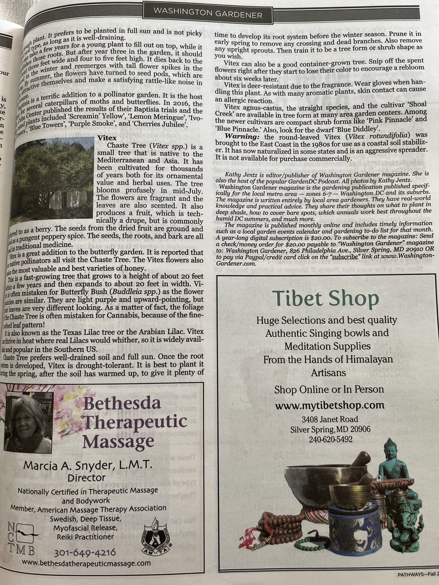 WDCGardener's tweet photo. Check out my article on unusual #pollinator garden plant picks in the Fall 2023 issue of @PathwaysMagazine #pathwaysmagazine #pathwayscommunity you can pick up a free copy at #dmv locations or read it at their online site. #pathwaysmagazinecontributor https://t.co/TUU6e5gWaw