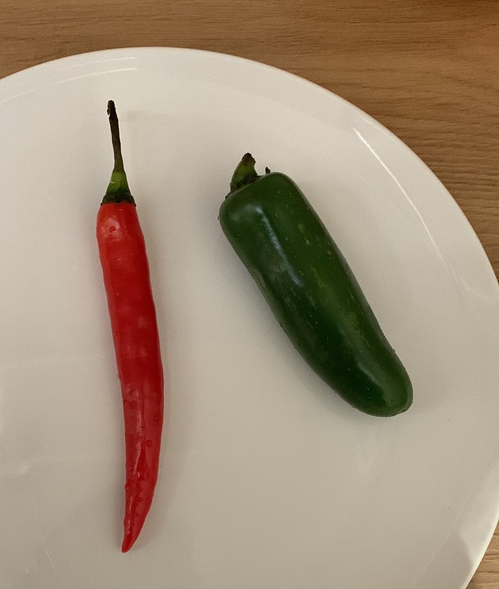 Монгол чинжүү ба халапино. Бахархалтай. 👏