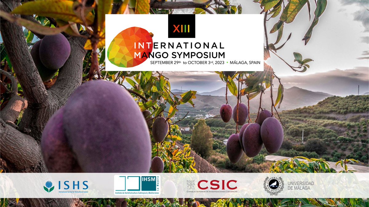 XIII International Mango Symposium tweet media