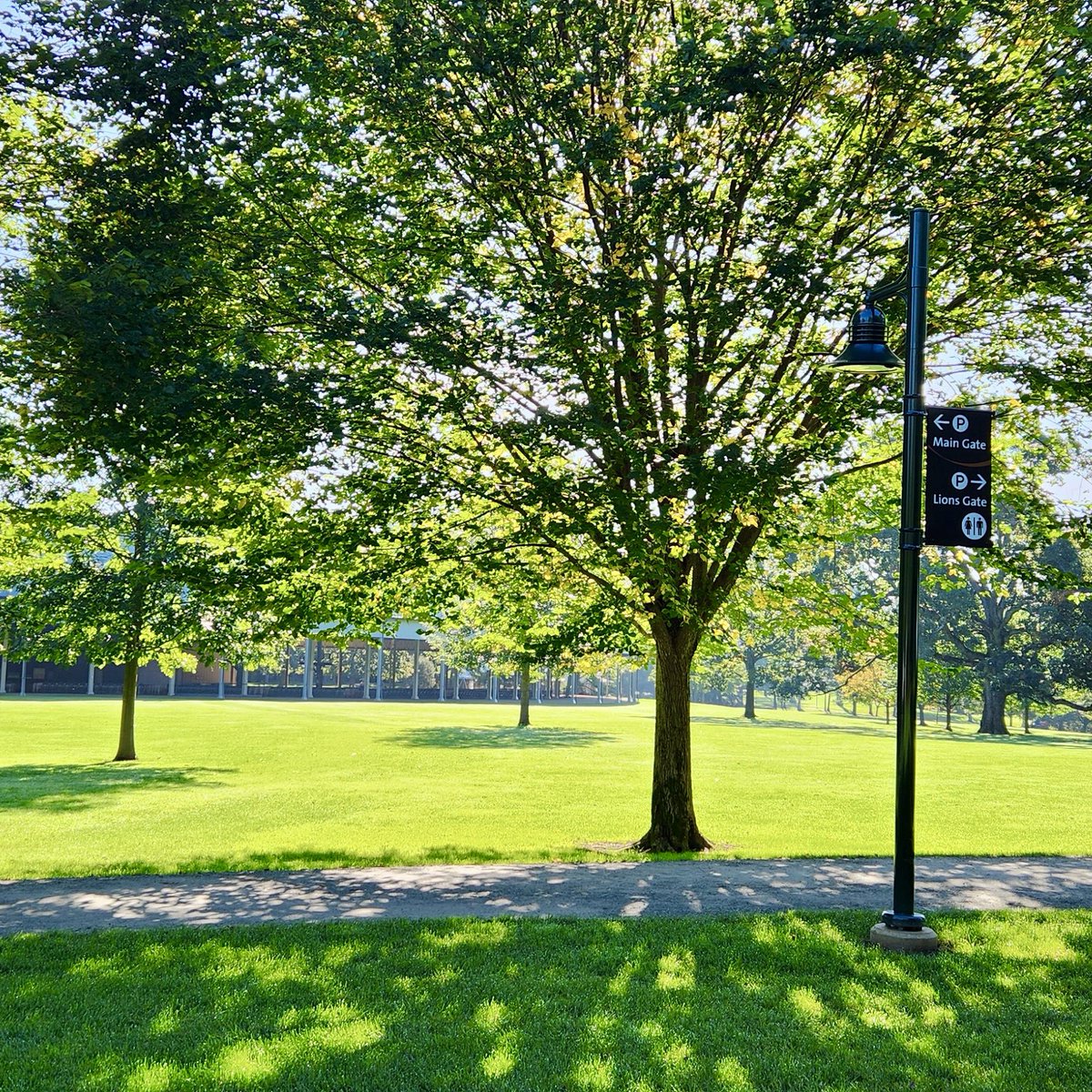 TanglewoodMA's tweet image. We ❤️ fall mornings #intheberkshires

📸: David Winn