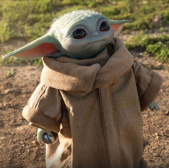 Program directors. When you don't extend an interview invite to me remember this is who you're hurting