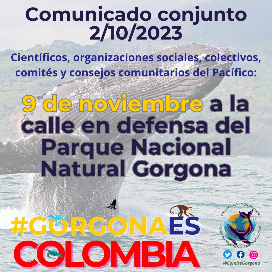 ComiteGorgona's tweet photo. Reiteramos nuestra oposición total a este nocivo proyecto militar por su ilegalidad e ilegitimidad política.

La única decisión aceptable del gobierno del presidente @petrogustavo es la cancelación definitiva del proyecto militar en el Parque Nacional Natural Gorgona. Abrimos 🧵 https://t.co/fF8BGEiJ3h