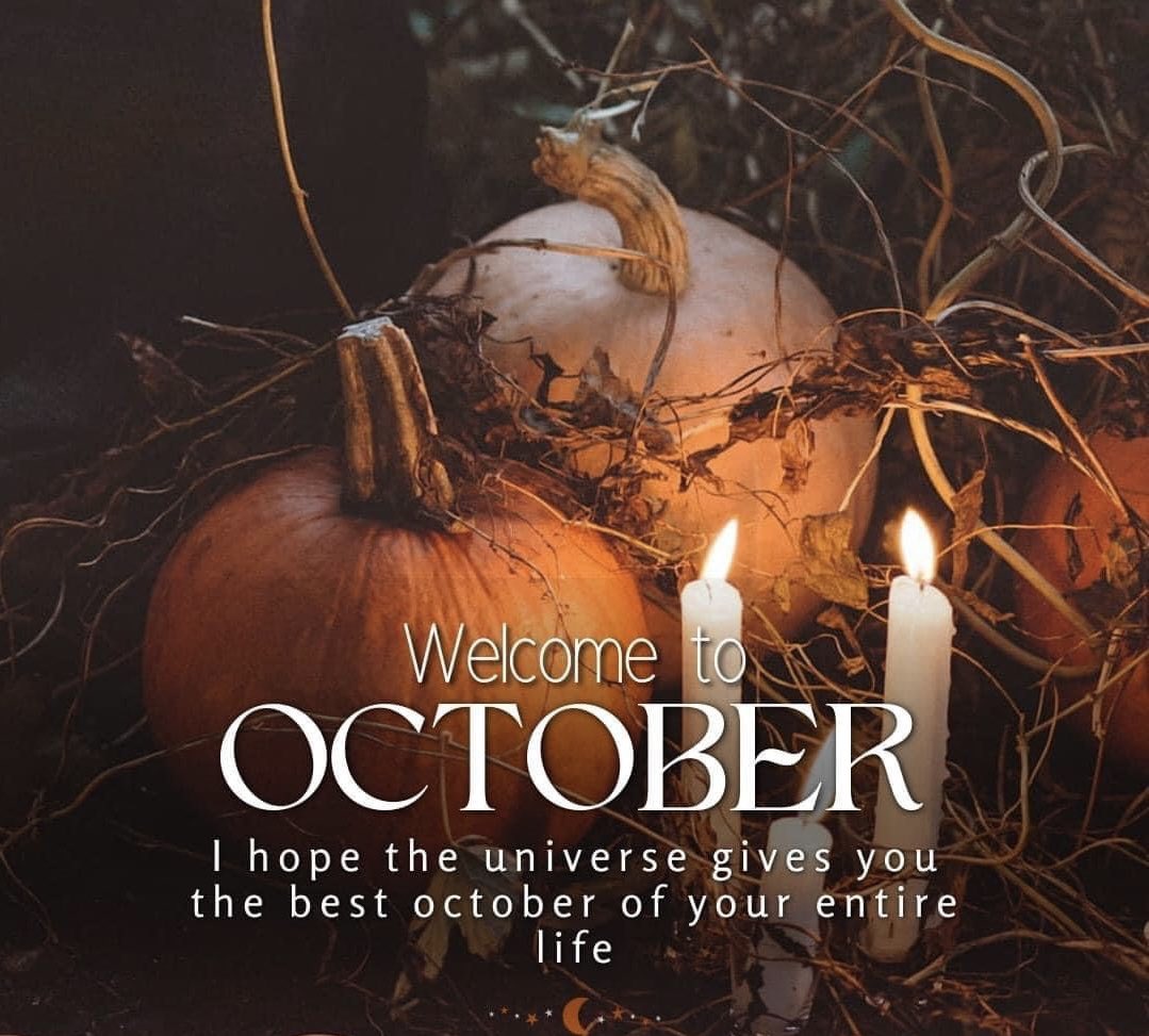 authorMGeorge's tweet photo. Welcome October 🎃🍂
#october #October2023 #halloween #witches #universe https://t.co/rtj4AteVEm