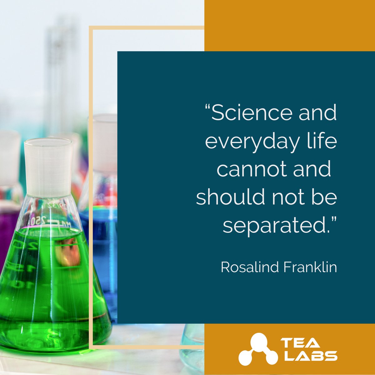 tealabsnam's tweet photo. "Science and everyday life cannot and should not be separated." ~ Rosalind Franklin https://t.co/3aVUV08OOO