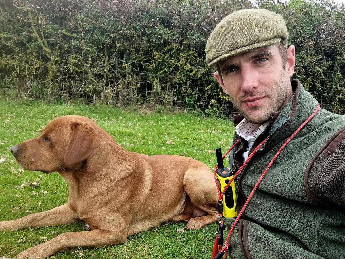ACountryChap's tweet photo. #pickingup #beating #pickingupdog #pheasantseason #pheasantseasonuk #pheasantshooting https://t.co/NYVst1cB11