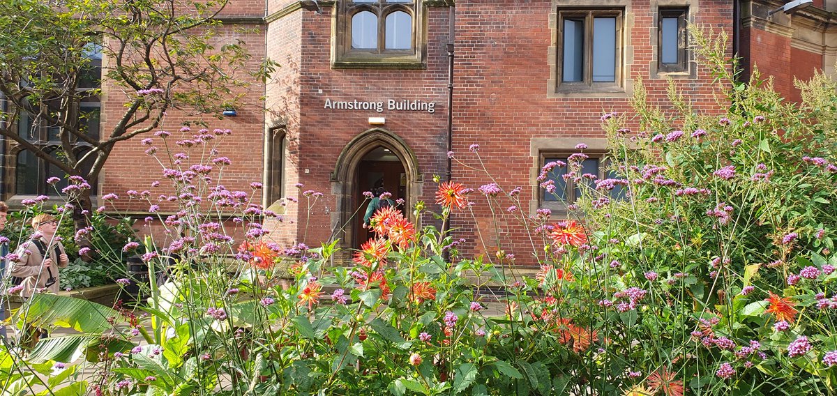 ENHANCE-D Trial tweet media